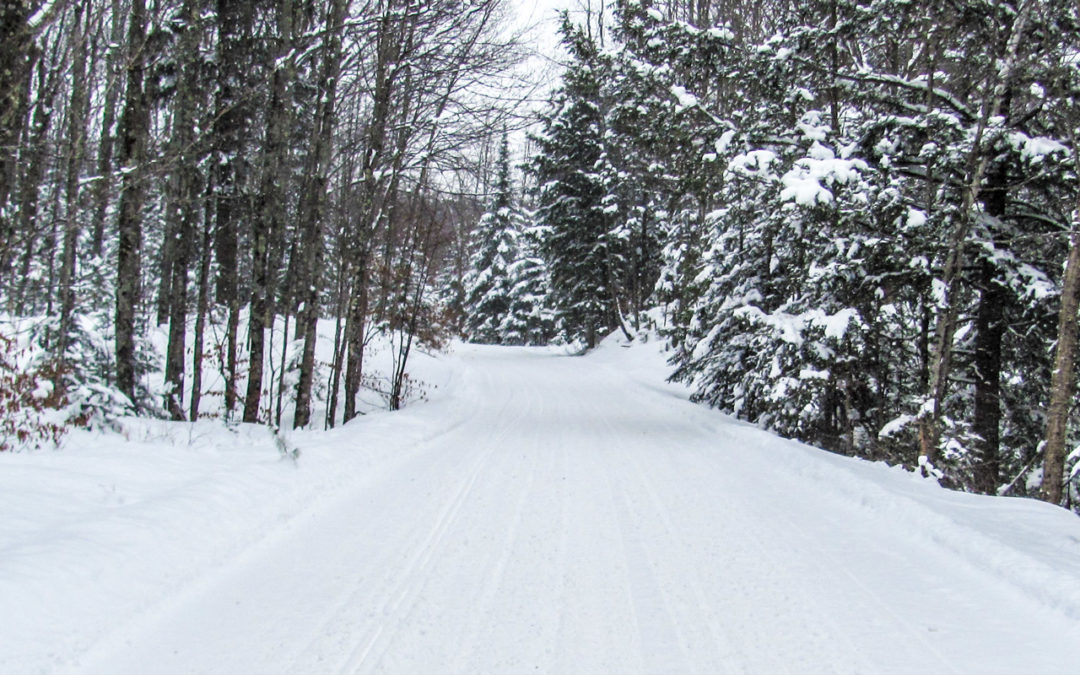 2019 – 2020 NLSC Ride Schedule